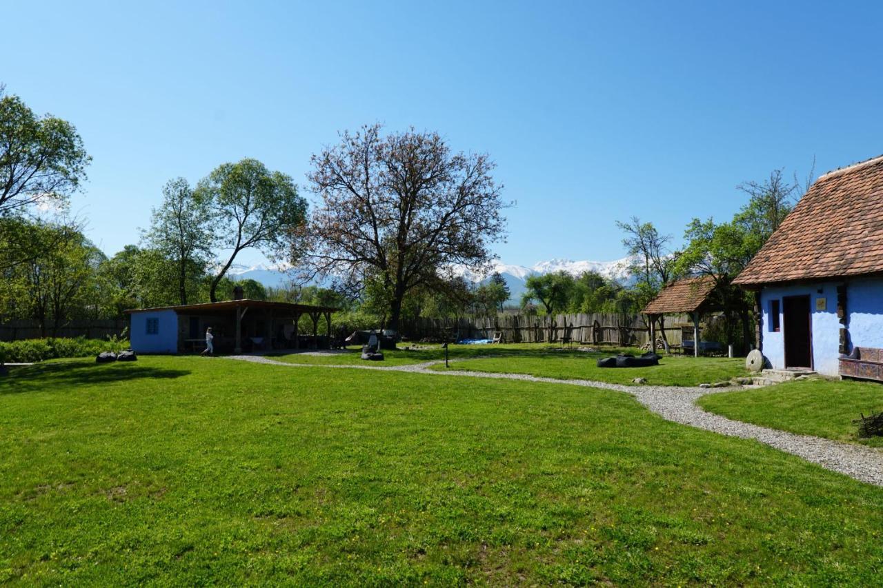 Oberwood Villa Porumbacu de Sus Bagian luar foto