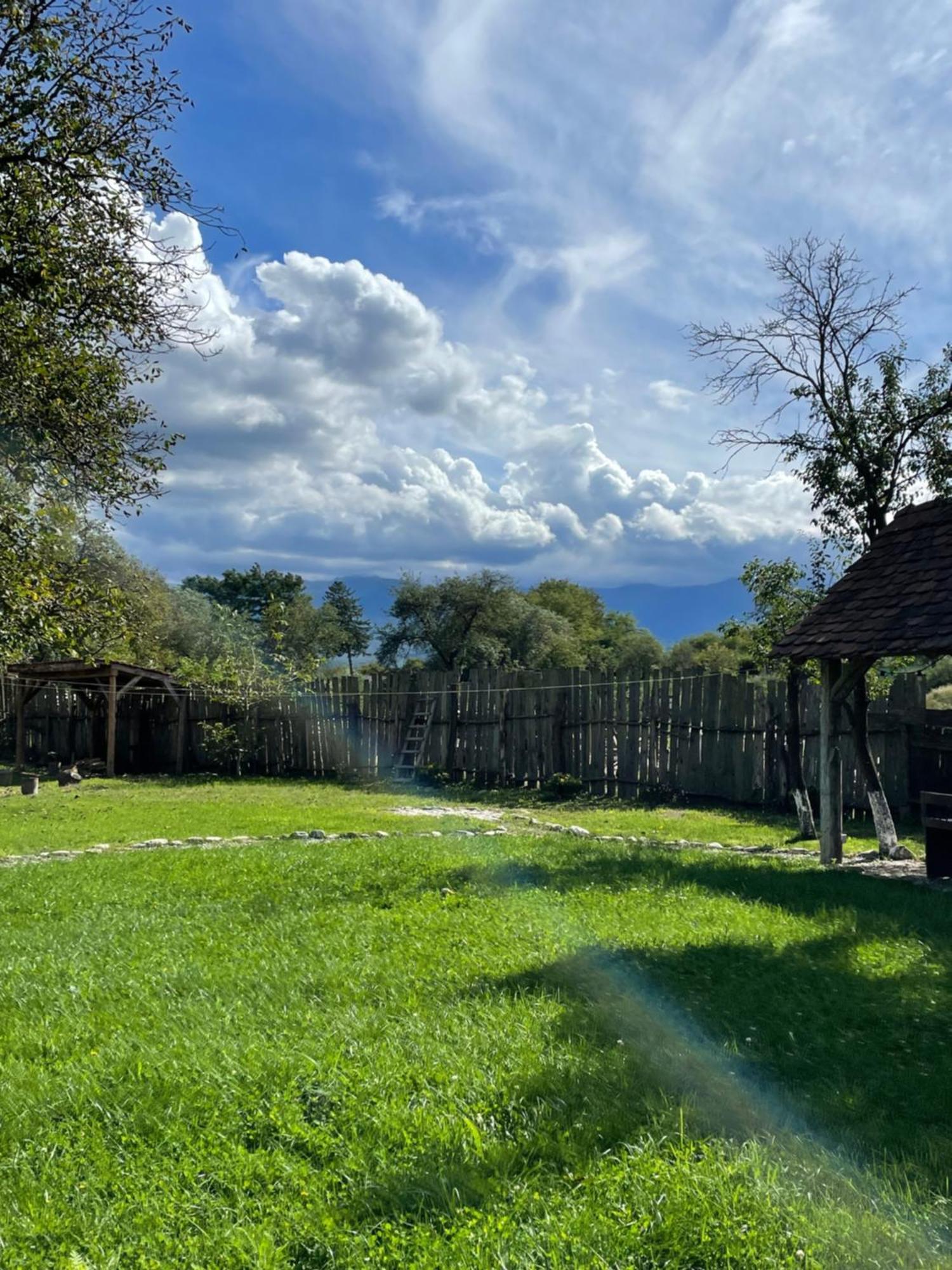 Oberwood Villa Porumbacu de Sus Bagian luar foto