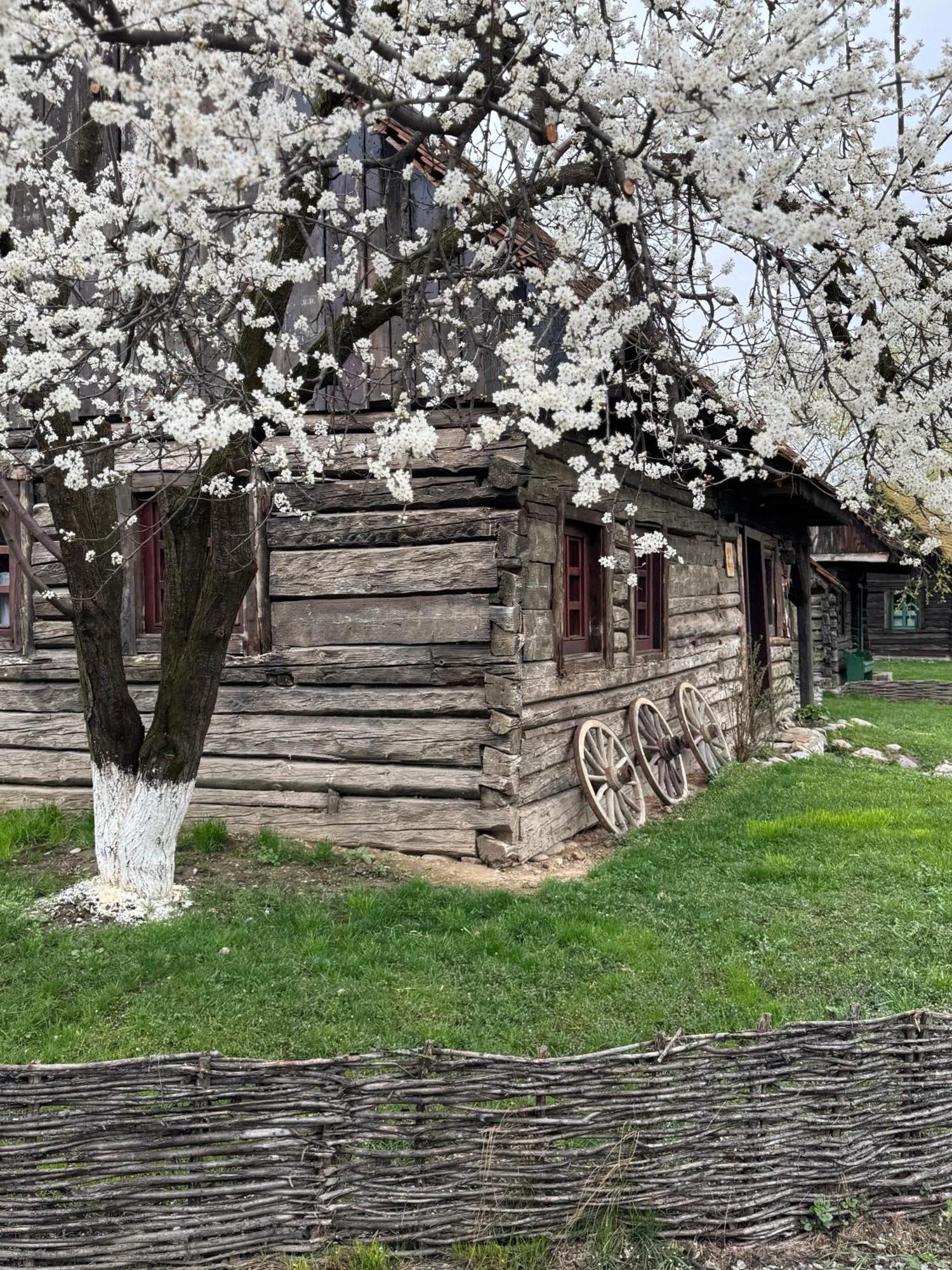 Oberwood Villa Porumbacu de Sus Bagian luar foto
