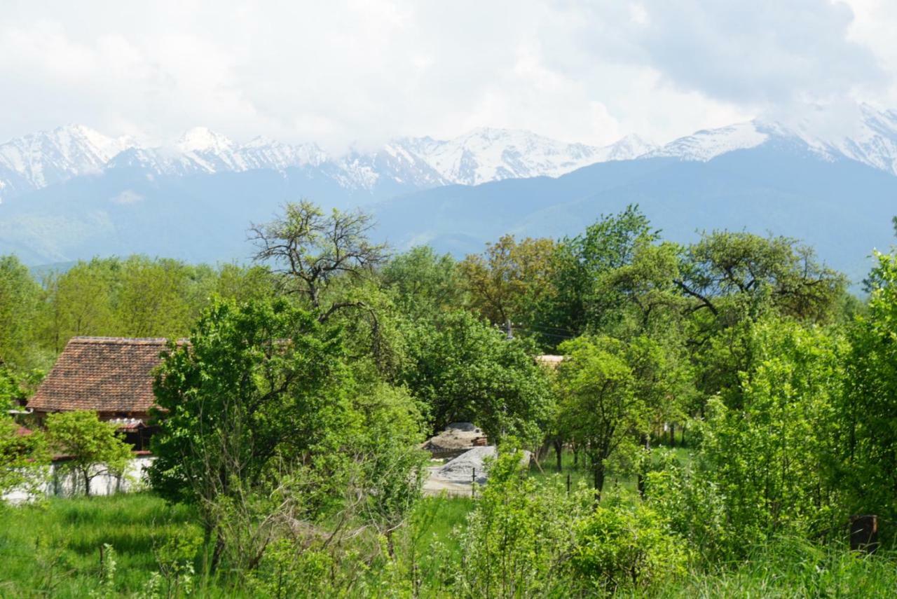 Oberwood Villa Porumbacu de Sus Bagian luar foto