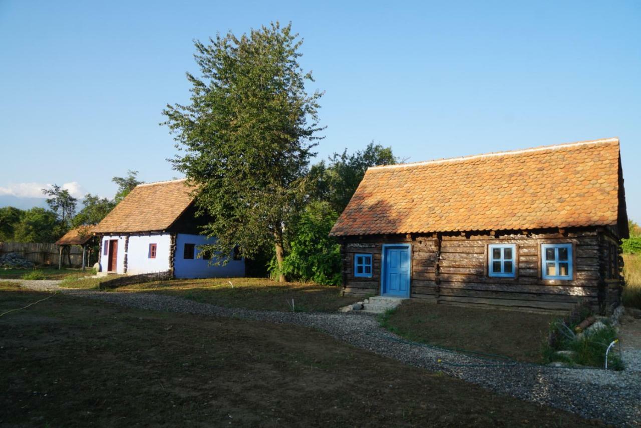 Oberwood Villa Porumbacu de Sus Bagian luar foto