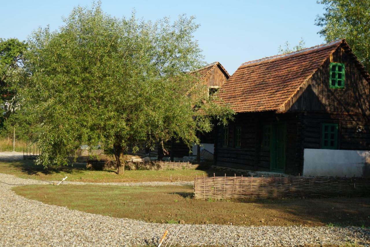 Oberwood Villa Porumbacu de Sus Bagian luar foto